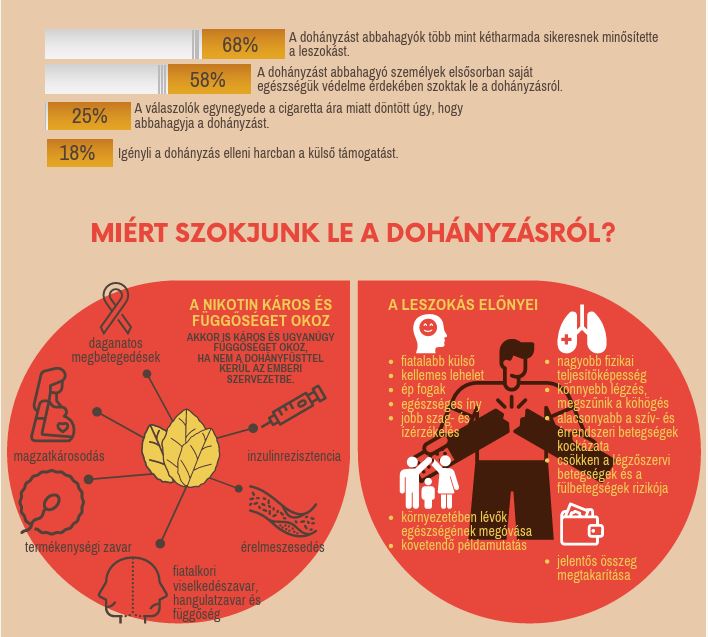 dohányzás infografika2