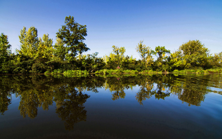 Tisza-tó