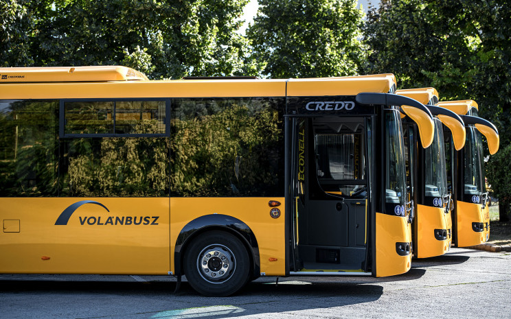 busz