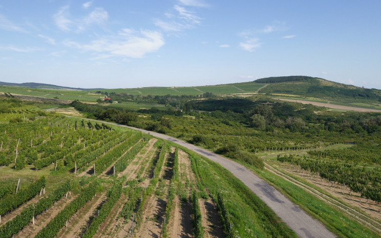 Tokaj