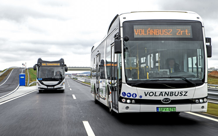 Busz