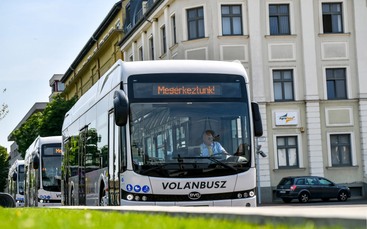 Kép
