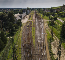 mezőzombor