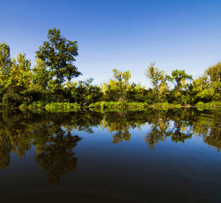 Tisza-tó