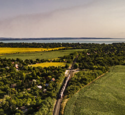 Balaton