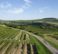 Tokaj