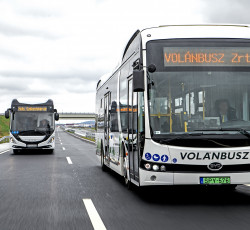 Busz