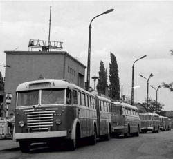 busz